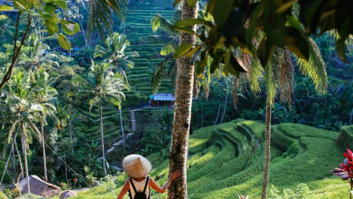 Indonesisch Vergevorderden 1
