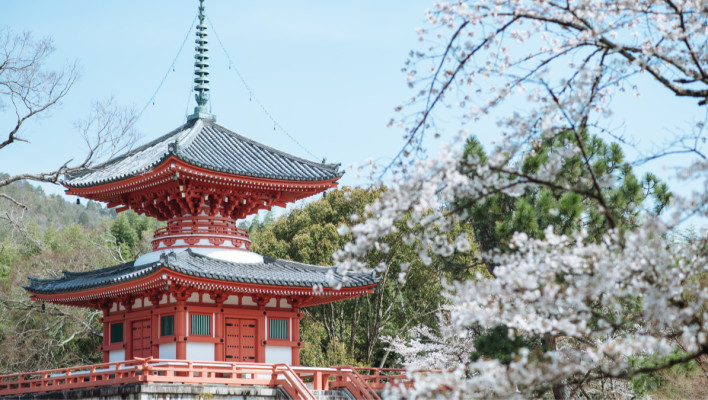 Japans Beginners 1 (English spoken)