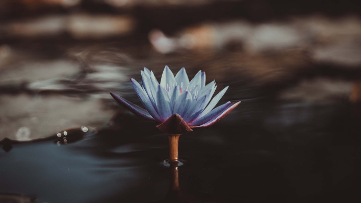 Mindfulness