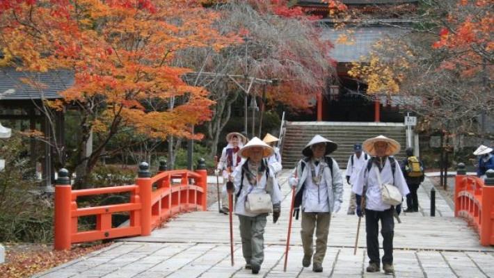 Pelgrim op twee werelddelen: Santiago de Compostela en Kumano Kodo