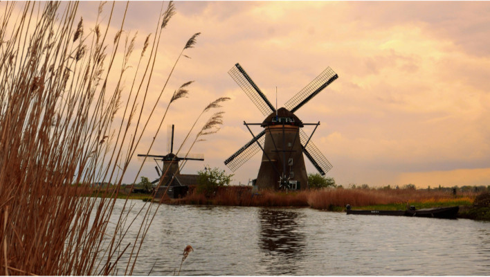 privé taalcursus NT2 Dutch