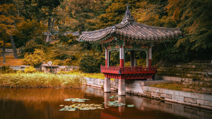 privé taalcursus Koreaans met Luk van Leeuwen